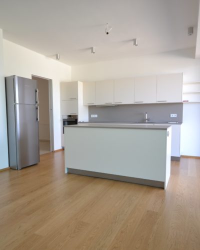 ANDRÄVIRTEL NAHE SCHLOSS MIRABELL | 6-Zimmer-Luxus-Wohnung mit 45 m² Aussichtsterrasse
