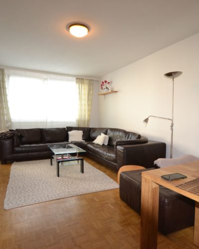SCHALLMOOS I KLUGES INVESTMENT / VORSORGEWOHNUNG MIT GEMÜTLICHER LOGGIA
