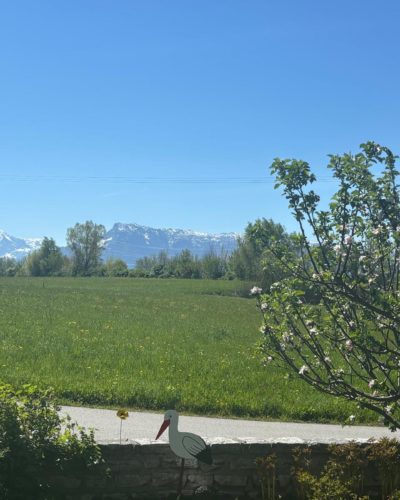 ANTHERING | Einfamilienhaus mit Bergblick & viel Platz für die Familie ab Frühling 2028