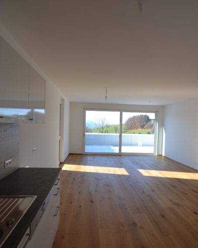 THE VIEW² | Wohnen über Salzburg | 3‑Zimmer-Penthouse mit Dachterrasse + Stadtblick 1P T3