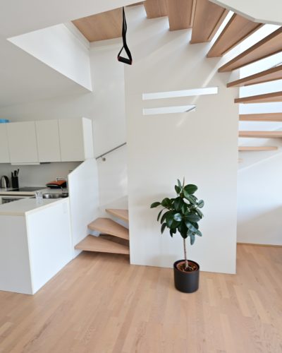 ITZLING/FROSCHHEIM | Moderne 2‑Zimmer-Loftwohnung mit 35 m² Terrassenfläche