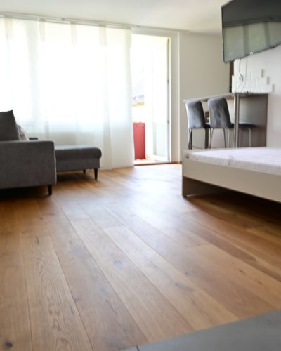 ITZLING I Komplett möblierte Design-Garconniere mit sonnigem Balkon nahe Techno‑Z/Bahnhof