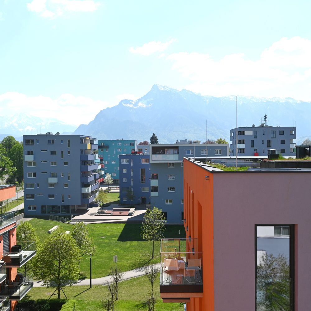 Ausblick